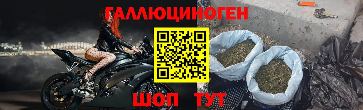 Реутов  Галлюциногенные грибы Cubensis  Вход с VPN 